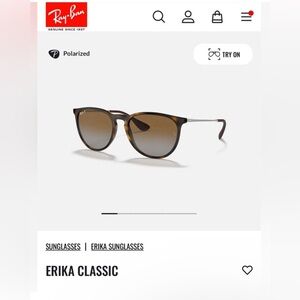 RayBan Erika Sunglasses